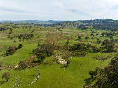 Livestock Auction - NSW - Adjungbilly - 2727 - Scrubbers Bedden - High rainfall & productive grazing country  (Image 2)