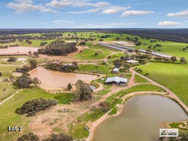 Other (Rural) Sold - VIC - Bagshot North - 3551 - Two Exceptional Properties – 1122 Ac / 454 Ha, Intensive Livestock and Fodder Production  (Image 2)