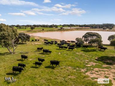 Other (Rural) Sold - VIC - Bagshot North - 3551 - Two Exceptional Properties – 1122 Ac / 454 Ha, Intensive Livestock and Fodder Production  (Image 2)