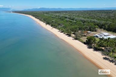 Residential Block Sold - QLD - Hull Heads - 4854 - 632m2 block virtually on the Beach!!!  (Image 2)