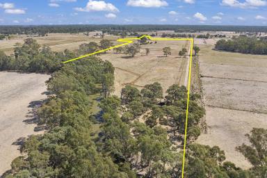 Lifestyle For Sale - NSW - Barham - 2732 - ABSOLUTE CREEK FRONTAGE  incl 8mgl S&D Water  (Image 2)