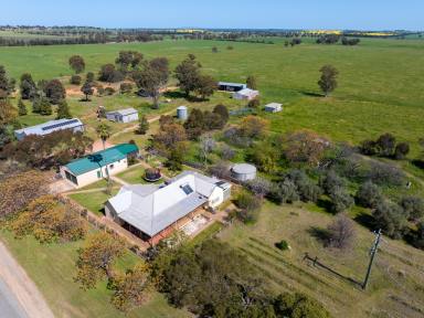 Mixed Farming For Sale - NSW - Coolamon - 2701 - Carbon Rich Mixed Farming Investment  (Image 2)