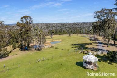 House For Sale - NSW - Kangaroo Valley - 2577 - Wonderful 36 Acre KV Country Estate  (Image 2)