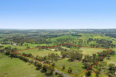 Acreage/Semi-rural For Sale - QLD - Highfields - 4352 - Executive Equestrian Lifestyle Property on 40 Acres  (Image 2)