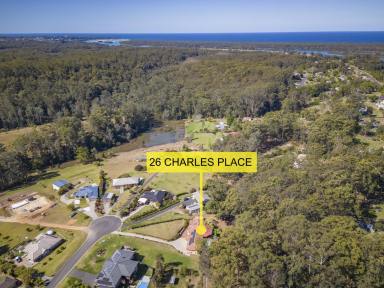 House Sold - NSW - Nambucca Heads - 2448 - We have Bought Elsewhere and Ready to Move!!  (Image 2)