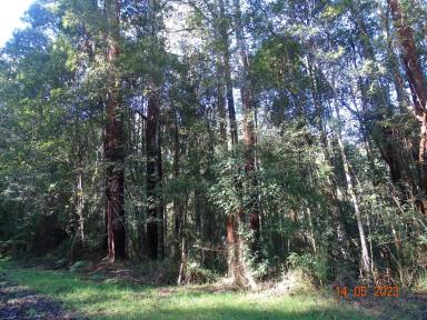 Other (Rural) Sold - VIC - Lavers Hill - 3238 - Retains the natural environment  (Image 2)