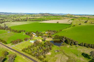 Mixed Farming For Sale - NSW - Woodstock - 2793 - Immaculate, High Quality Mixed Farming & Grazing!  (Image 2)