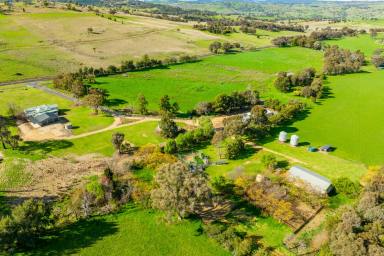 Mixed Farming For Sale - NSW - Woodstock - 2793 - HEAVY RED BASALT COUNTRY, HIGH RAINFALL & EXCELLENT INFRASTRUCTURE  (Image 2)