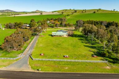 Mixed Farming For Sale - NSW - Woodstock - 2793 - Immaculate, High Quality Mixed Farming & Grazing!  (Image 2)