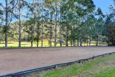 Lifestyle For Sale - NSW - Fernances Crossing - 2325 - 'Horse Heaven'  (Image 2)