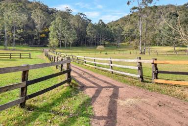 Lifestyle For Sale - NSW - Fernances Crossing - 2325 - 'Horse Heaven'  (Image 2)