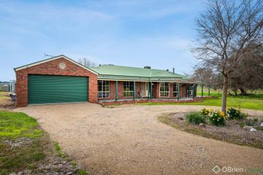 Acreage/Semi-rural For Sale - VIC - Laceby - 3678 - Family Home on 60 Acres  (Image 2)