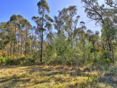 Residential Block For Sale - VIC - Clifton Creek - 3875 - 120 ACRE BUSH ESCAPE  (Image 2)