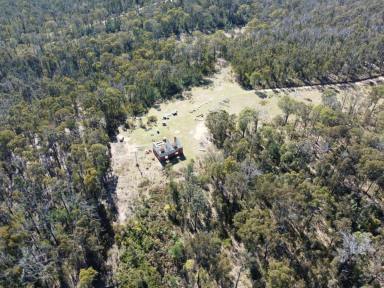 Residential Block For Sale - VIC - Clifton Creek - 3875 - 120 ACRE BUSH ESCAPE  (Image 2)