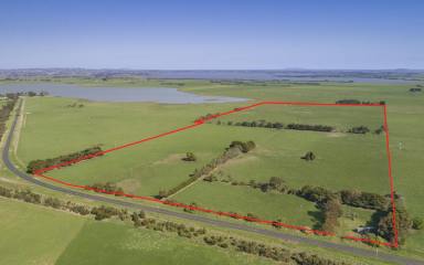 Livestock Sold - VIC - Kariah - 3260 - Small Acreage Outpaddock Close To Camperdown  (Image 2)