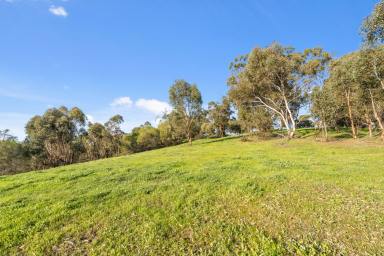 Other (Rural) Sold - WA - Lower Chittering - 6084 - ELEVATION, SERENITY & SECLUSION  (Image 2)