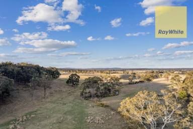 Lifestyle Sold - NSW - Goulburn - 2580 - Close & Private  (Image 2)