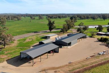 Mixed Farming Sold - NSW - Wagga Wagga - 2650 - Outstanding and Dynamic Mixed Irrigation Enterprise  (Image 2)
