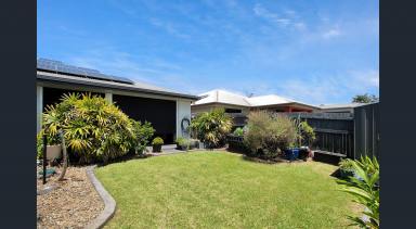 House For Lease - QLD - Glenella - 4740 - Stylish Executive Living in Highly Sought-After Area  (Image 2)