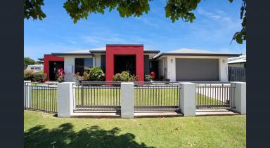 House For Lease - QLD - Glenella - 4740 - Stylish Executive Living in Highly Sought-After Area  (Image 2)
