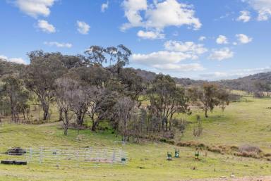 Acreage/Semi-rural For Sale - NSW - Murrumbateman - 2582 - Act Now: Your Dream Lifestyle Beckons  (Image 2)