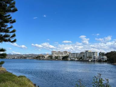Office(s) For Lease - QLD - Varsity Lakes - 4227 - Orr Offices Perfect office location with a view  (Image 2)