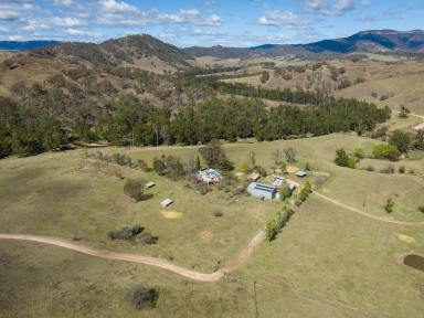 Livestock Sold - NSW - Ganbenang - 2790 - Ultimate Lifestyle Location  (Image 2)