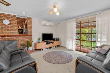 House Sold - VIC - Strathdale - 3550 - Lovely Home and Location With so Much Potential!  (Image 2)