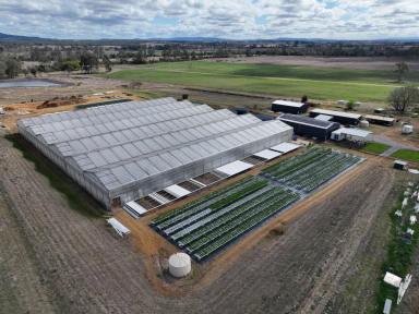Cropping For Sale - QLD - Harrisville - 4307 - Commercial Hydroponic Opportunity  (Image 2)