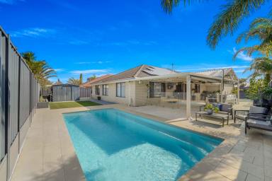 House Sold - WA - Bertram - 6167 - Your Dream Family Home Awaits  (Image 2)