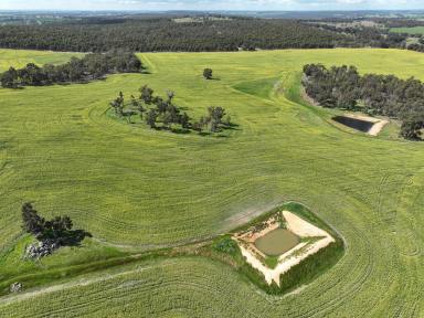 Cropping For Sale - WA - Dinninup - 6244 - Productive Expansion Opportunity  (Image 2)