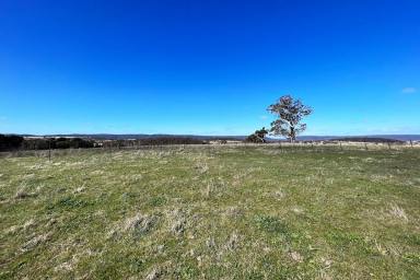 Livestock Sold - NSW - Goulburn - 2580 - Nearly 50 acres, Breathtaking Valley & Mountain Views, 4BR, Newly Renovated, Double Garage + Workshop, Shearing Shed, Dam, Power, Grazing Land.  (Image 2)