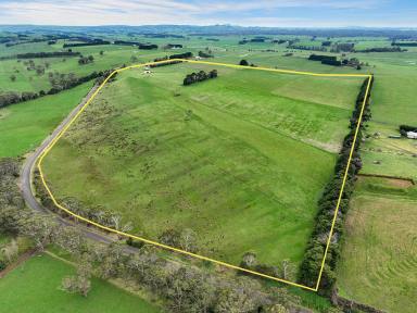 Mixed Farming Sold - VIC - South Purrumbete - 3260 - A RARE LIFESTYLE OPPORTUNITY  (Image 2)
