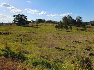 Residential Block For Sale - QLD - Canina - 4570 - BLANK CANVAS ON 4.76 ACRES  (Image 2)