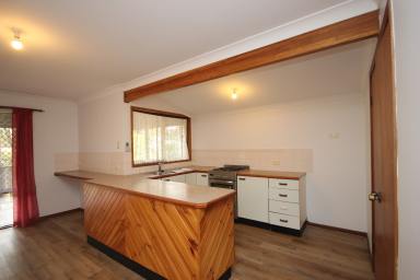 House Leased - NSW - Middle Brother - 2443 - A home in among the gum trees with free Starlink internet!  (Image 2)