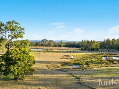 Lifestyle For Sale - NSW - Mitchells Flat - 2330 - 260 ACRES OF HUNTER VALLEY OPPORTUNITY  (Image 2)