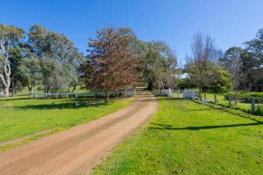 Mixed Farming For Sale - VIC - Gritjurk - 3315 - “CALTON HILL” - GREAT BALANCE OF COUNTRY  (Image 2)