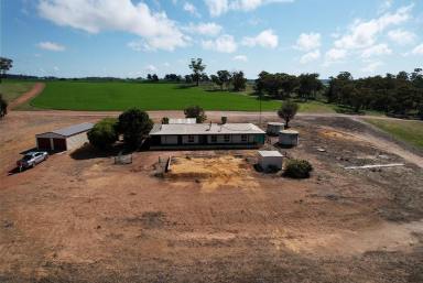 Farmlet Sold - WA - Morbinning - 6304 - Fabulous 5-Bedroom Home on 10 Acres, Red Hill  (Image 2)