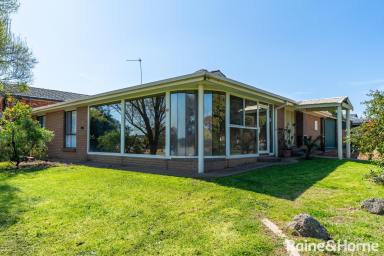 House For Lease - NSW - Lake Albert - 2650 - LAKESIDE LIVING  (Image 2)