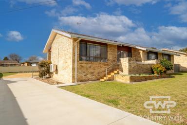 House Sold - NSW - Glen Innes - 2370 - Family Sized Brick Home in Sought After Area.  (Image 2)