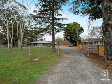 Residential Block For Sale - NSW - Wingello - 2579 - A great start - Motivated Vendors  (Image 2)