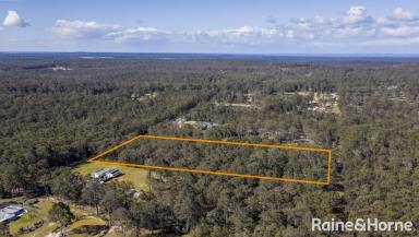 Residential Block For Sale - NSW - Falls Creek - 2540 - 2.04 Hectares of Untouched Beauty  (Image 2)