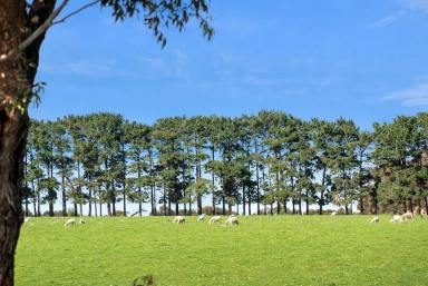 Livestock Sold - VIC - Curlewis - 3222 - BRILLIANT LOCATION - LIFESTYLE - GRAZING - INVESTMENT  (Image 2)