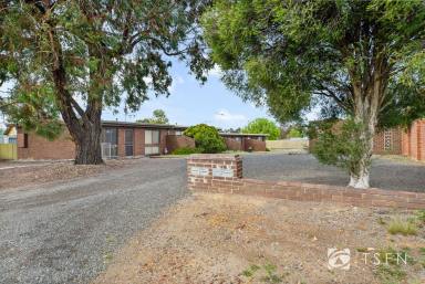House Sold - VIC - Long Gully - 3550 - Affordable Opportunity Just 2.5kms from CBD  (Image 2)