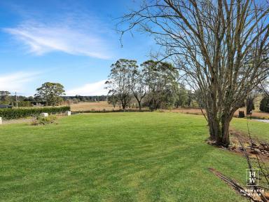 Residential Block For Sale - NSW - Exeter - 2579 - Prime Semi Rural Land  (Image 2)