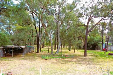 House Sold - NSW - Spring Ridge - 2343 - 3 BEDROOM HOME, LARGE BLOCK & SHEDS  (Image 2)