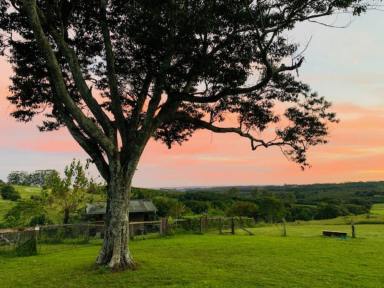 House Leased - NSW - Dorroughby - 2480 - Chic Farmhouse With Spectacular Hinterland Views  (Image 2)