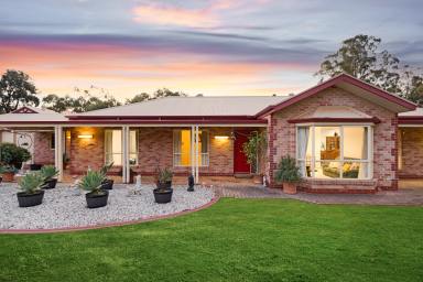 House Sold - VIC - Mildura - 3500 - Expansive Home on an Acre in Prime Location!  (Image 2)