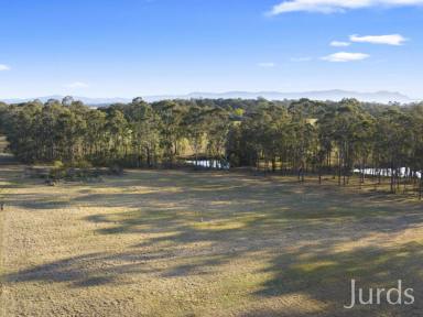Lifestyle Sold - NSW - Lovedale - 2325 - EXTREMELY PRIVATE AND RARE FIVE ACRE BLOCK IN HUNTER VALLEY WINE COUNTRY  (Image 2)
