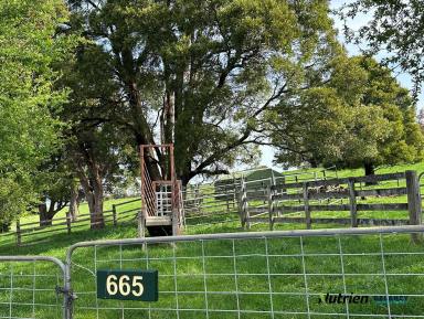 Other (Rural) Sold - VIC - Neerim - 3831 - Panoramic Views! City to Country Getaway  (Image 2)